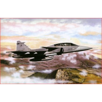 Saab JAS-39B/D - шведский многоцелевой истребитель